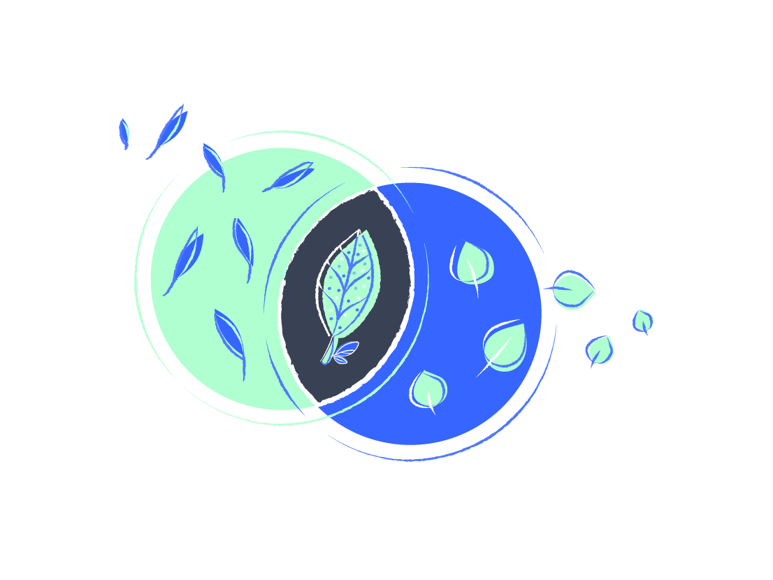 BrandingAndGraphicDesign-Approach3